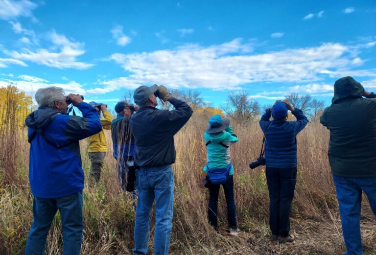 Group of people looking through binoculars in the pasture