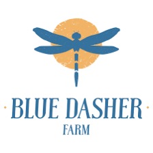 Blue Dasher